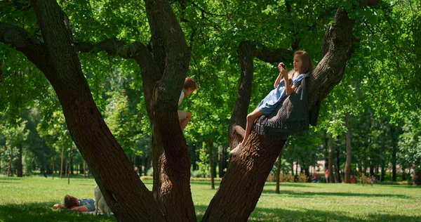 Niños alegres sentados árbol en el picnic. Lindos hermanos juegan en ramas anchas. —  Fotos de Stock
