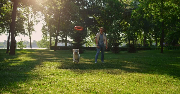 Homem atraente jogando brinquedo rosa redondo. Energético golden retriever captura. — Fotografia de Stock