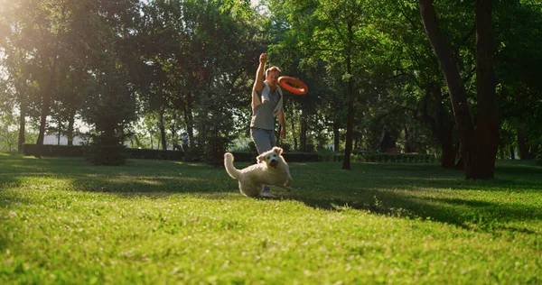 Hundebesitzer werfen rosafarbenes Spielzeug um sich. Golden Retriever versucht Zugpferd zu fangen. — Stockfoto