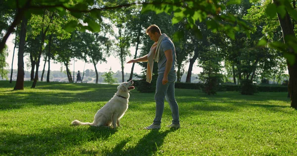 Happy man petting golden retriever park. Men raise hand to practice sit command — Stock Photo, Image