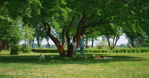 Casal relaxado em pé na sombra da árvore do parque. A família pacífica descansa no piquenique. — Fotografia de Stock