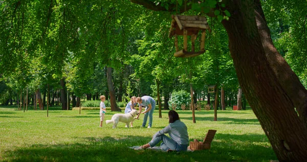 Família jovem tem lazer ativo com cão ao ar livre. Feliz piquenique no parque verde. — Fotografia de Stock