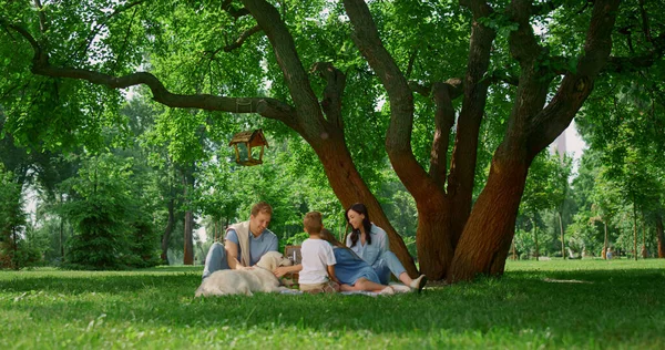 Сім'я з собакою відпочиває на пікніку. Щасливі люди відпочивають на зеленій траві на відкритому повітрі — стокове фото