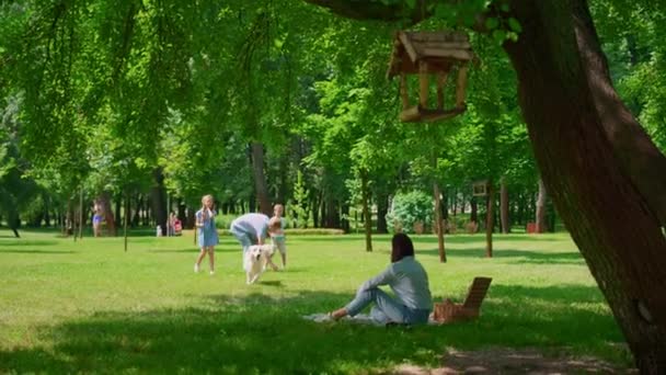 Beautiful labrador playing with family on picnic. Mother calling playful dog. — Stock Video