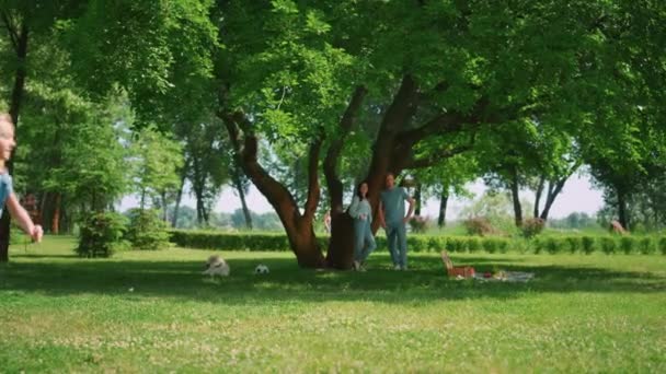 Krásná dívka utíká před bratrem na zeleném trávníku. Hravá sestra běhat v parku venku. — Stock video