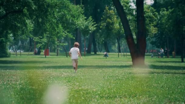 Niño de la edad elemental energética correr en el campo verde exuberante en el día soleado. Ampliar cámara. — Vídeo de stock
