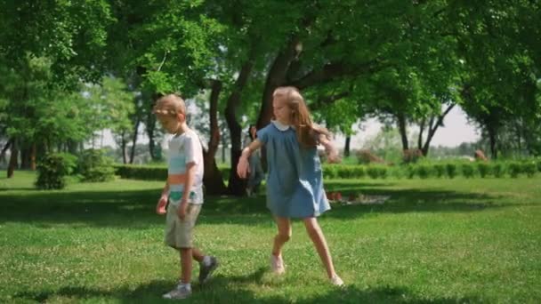 Cheerful sister catch brother on picnic. Children have activities on fresh air. — Stock Video