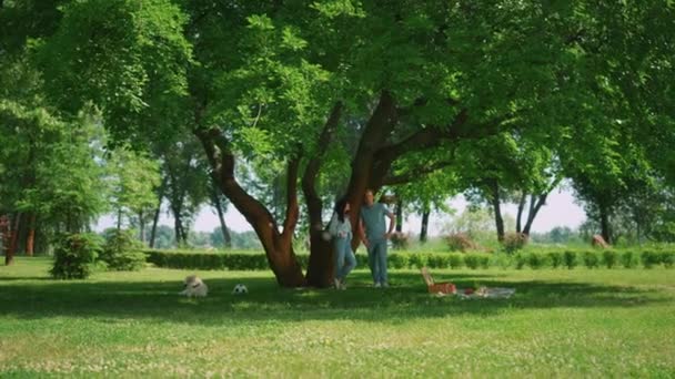 Pareja relajada de pie en la sombra del árbol del parque. Tranquilo descanso familiar en el picnic. — Vídeo de stock