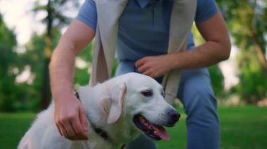 Parkta tasmasını tutan gülümseyen bir adam. Sahibi sıkı sıkı sarılıyor, sevimli köpeği kucaklıyor.