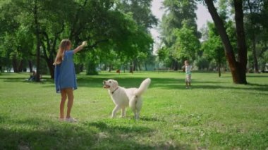 Yeşil Park 'ın arka manzarasında tatlı bir köpek eğitmeni. Çocuklar evcil hayvanlarla yakalamaca oynar.