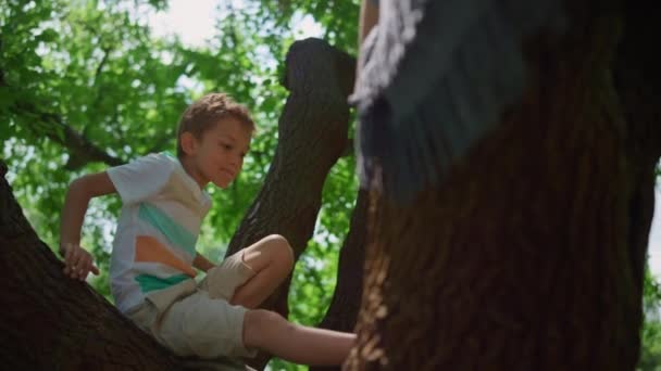 Aktivní chlapec vylézt strom v parku zblízka. Statečné dítě sedící na vysoké větvi. — Stock video