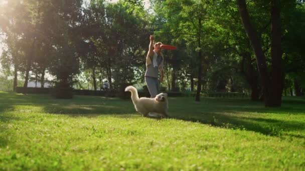 Właściciel psa rzuca różową zabawką. Golden retriever próbuje złapać ściągacza. — Wideo stockowe