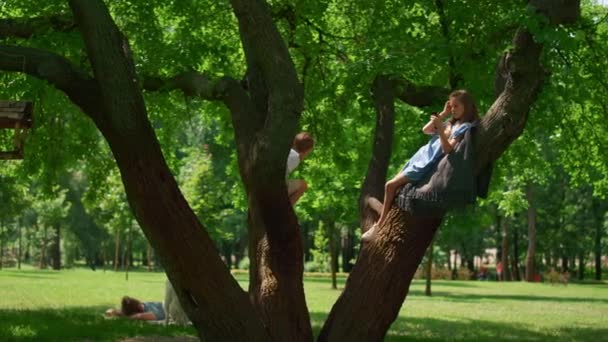 Радостные дети сидят на дереве на пикнике. Милые братья и сёстры играют на широких ветвях. — стоковое видео