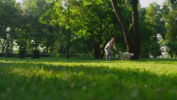 幸せな男がボールを投げる。キャッチおもちゃを実行している精力的な遊び心のある黄金の取得. — ストック動画