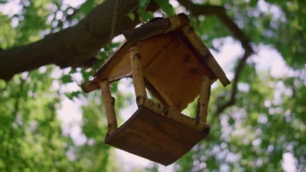 Alimentador de pássaros pendurado na árvore na luz do sol de perto. Birdhause bonito localizado no parque — Vídeo de Stock