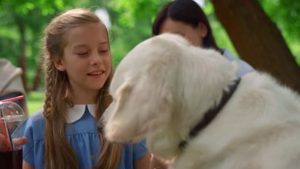 Pedigree dog eating snack on girl hand closeup. Blondhair child feeding labrador — Stock Video