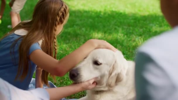 Joyeux fille caressant labrador sur pique-nique gros plan. Enfants jouent avec chien sur prairie — Video