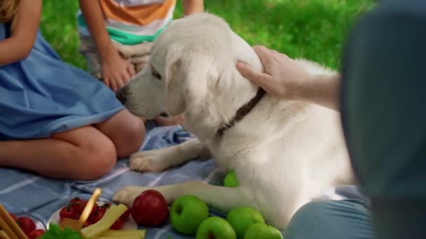 Kinderen hebben plezier met hond op de picknick. Leuke broers en zussen spelen met golden retriever. — Stockvideo