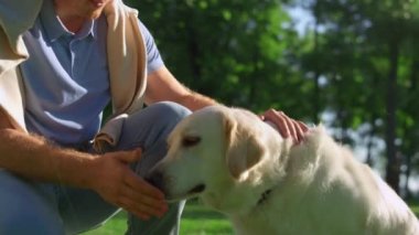 Yakışıklı adam mutlu Golden Retriever 'ı okşuyor. Sahibi köpek eğitmeni parkta patisini verdi