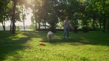 Çekici bir adam pembe oyuncak fırlatıyor. Enerjik golden retriever yakalayıcısı.