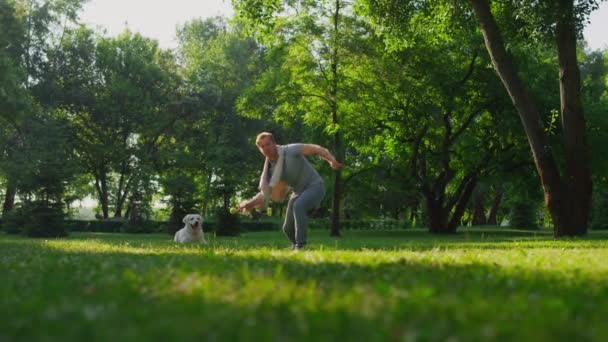 매력적 인 소유자 가 공원에서 공을 던진다. 대담 한 개 의입으로 장난감을 잡는 모습. — 비디오