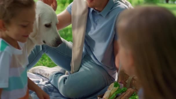 Hombre sonriente acaricia labrador en primer plano de la naturaleza. Familia jugar con el perro en el picnic. — Vídeos de Stock