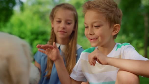 Chlapec hladí bílého psa na pikniku zblízka. Děti si hrají s domácím mazlíčkem na přírodě. — Stock video