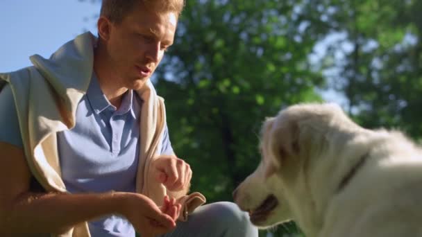 Zufriedener Mann gibt Hundefutter nach Training im Park. — Stockvideo