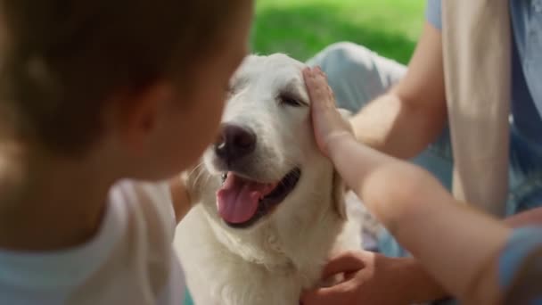 未知の手のピクニックの閉鎖に犬の愛撫。ハッピーラブラドールは公園でフォンドルを楽しむ. — ストック動画