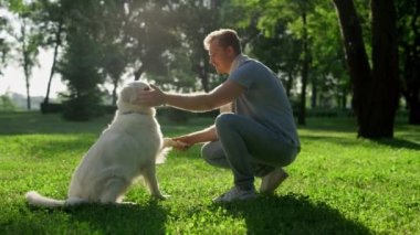 Mutlu akıllı golden retriever yakışıklı sahibine patisini uzat. Elini yala, uzan.