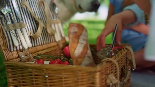 Las manos irreconocibles sacan la comida de cerca de la cesta de picnic. Alegre descanso familiar. — Vídeos de Stock