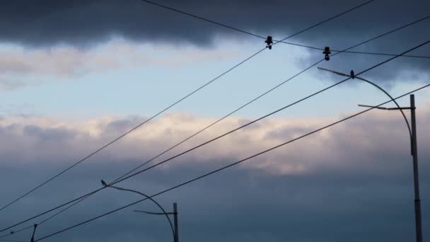 Bulutlu gökyüzünde elektrik kabloları. Çalışmayan sokak lambaları akşam vakti. — Stok video