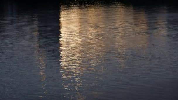 Agua del río ondulada que fluye a paso de calma drone disparo. Superficie de la vía navegable. — Vídeos de Stock