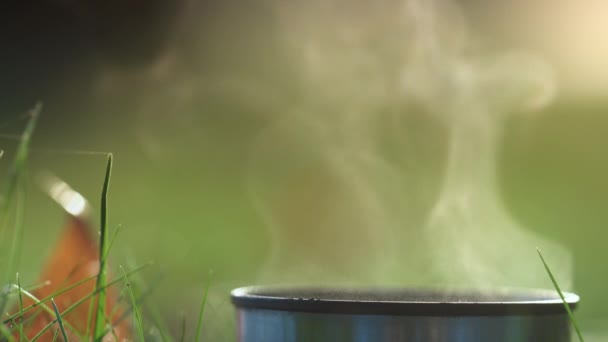 Boisson chaude debout herbe verte fermer. Vapeur de thé chaud s'élevant sur thermos tasse. — Video