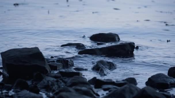 Batu-batu yang terletak di pantai mengalir lambat menutup. Tenangkan sungai air di pantai berbatu — Stok Video