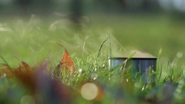 Zbliżenie termos filiżanka gorąca herbata stojąca trawa. Wzrost pary nad ciepłym napojem na świeżym powietrzu. — Wideo stockowe