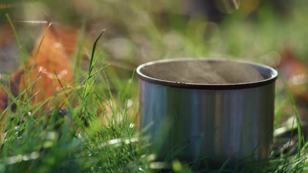 Tasse en métal boisson chaude debout pelouse fermer. Confortable paysage d'automne vapeur montante. — Video