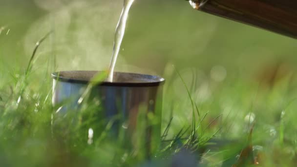 Forró italos poharat öntök állva a fűben. Könnyű gőz a meleg ital felett. — Stock videók