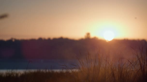 美しい秋の日の出の背景。穏やかな沼の風景の上に黄金の空. — ストック動画