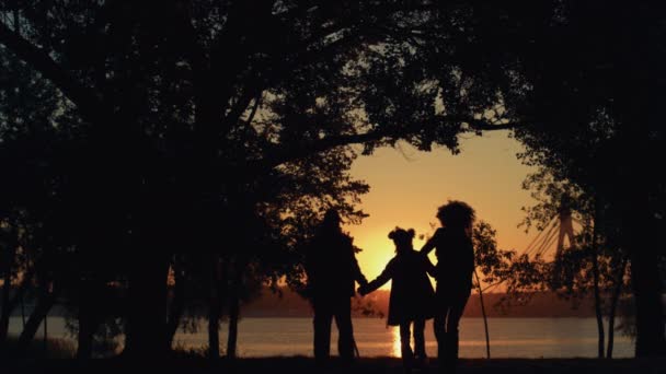 Silhueta de família feliz andando parque do pôr do sol juntos. Bela luz solar dourada. — Vídeo de Stock