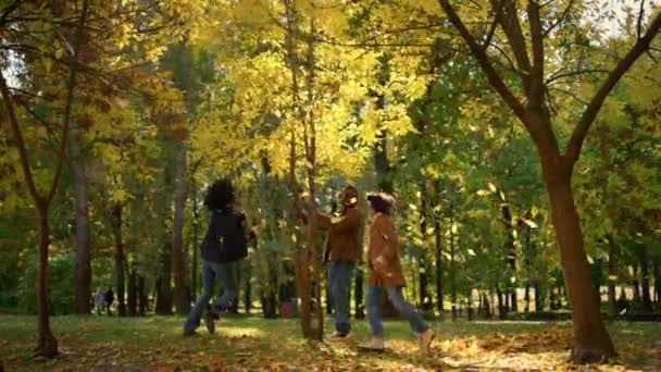 Parque de juego familiar feliz ejecutar bajo hojas de oro que caen. Tiempo libre en el jardín. — Vídeo de stock