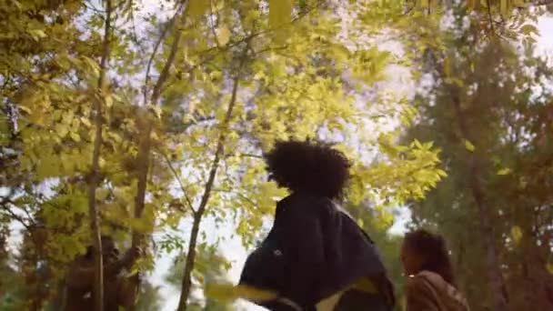 Föräldrar unge njuter av höstparken på solig dag. Vacker gyllene falla natur. — Stockvideo