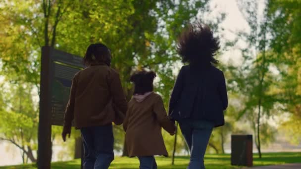 Hija sosteniendo padres caminando verde parque camino vista trasera. Tiempo libre alegre — Vídeos de Stock