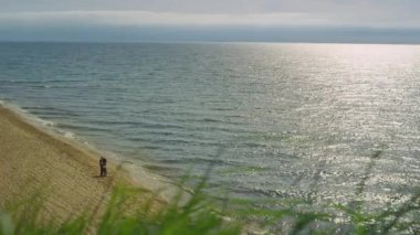Ayakta duran plaj manzarası. Çimleri kapatın, rüzgâr denizin arka planında esiyor..