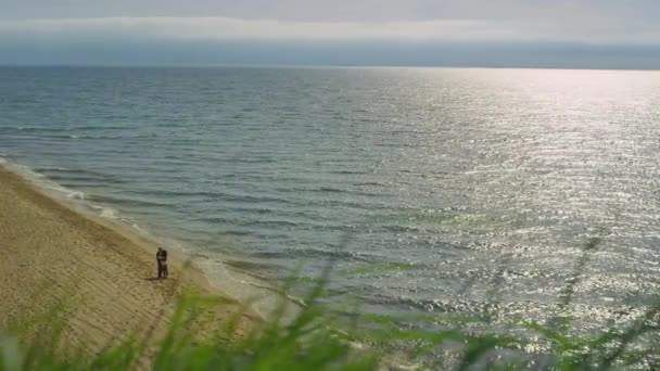 Пара стоячих пляжних пейзажів. крупним планом трава, що дме вітер на морському фоні . — стокове відео