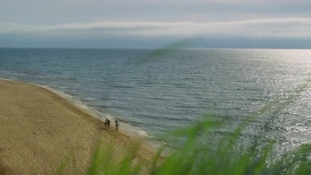 Côte paisible de plage de mer. Famille marche sur la nature rivage sablonneux île fond — Video