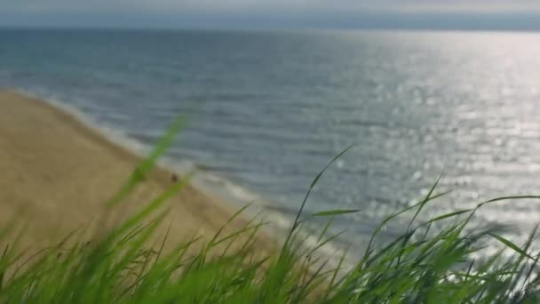 Трава дме вітряний пляж на морському ландшафті. Повітряний вид люди сидять на піщаному березі . — стокове відео