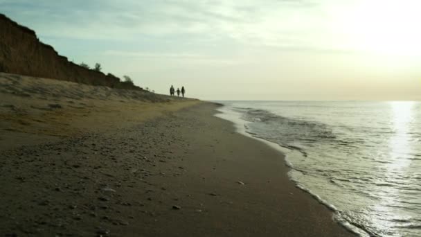 Семейная группа прогуливается по песчаному берегу моря. Волны, обрушившиеся на побережье океана. — стоковое видео
