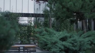 Sabah ofis binasında yeşil bahçe. Şehir merkezinde huzurlu bir dinlenme yeri.