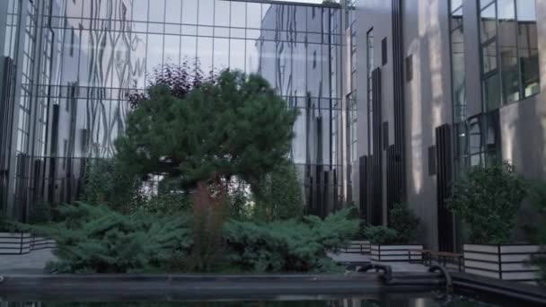 Jardin paysager à l'extérieur du bâtiment moderne en verre. Lieu de loisirs avec des arbres — Video